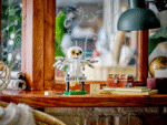 LEGO Harry Potter - Hedwig at 4 Privet Drive - 76425 - Image 5