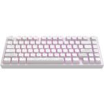 Геймърскa механична клавиатура Dark Project ALU81A Terra Nostra White RGB - Image 2