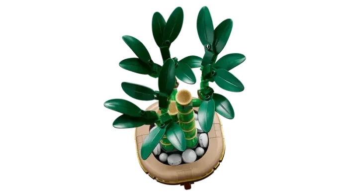 LEGO Botanicals - Lucky Bamboo, 10344 - Image 12